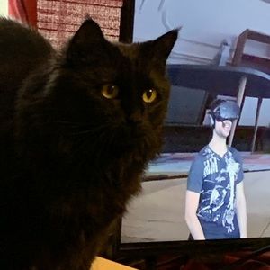 Meet your Posher, Cassie